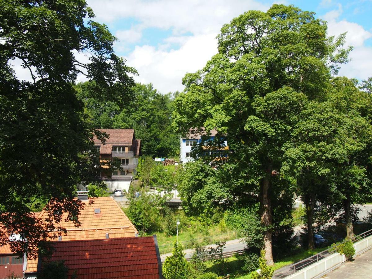 Apartment Harzgrün 2 Sankt Andreasberg Exterior foto